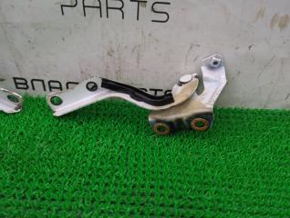 Петля капота Lexus HS250h ANF10 2AZ-FXE 53410-75020 4 ракурс