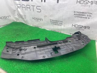 Накладка решетки радиатора Lexus HS250h ANF10 2AZ-FXE 53295-75010 2 ракурс