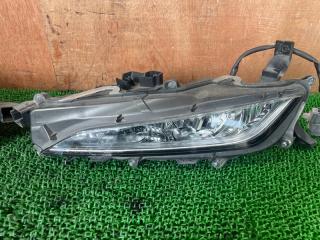 Фара противотуманная LEXUS RX450h GYL25W 2GR-FXS 8121048060 2 ракурс Фара противотуманная LEXUS RX450h GYL25W 2GR-FXS 8121048060 2 ракурс