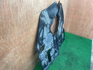 Защита Lexus IS250 GSE20 4GR-FSE 58398-53020 3 ракурс