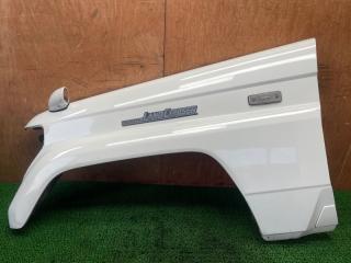 Крыло левое переднее TOYOTA LAND CRUISER PRADO LJ78W 2L-TE 53802-60690 1 ракурс