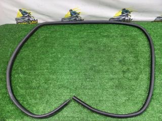 Уплотнитель двери задний левый BMW 3 1999 контрактная Уплотнитель двери задний левый BMW 3 1999