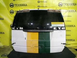 Запчасть дверь задняя Isuzu AXIOM 2 001