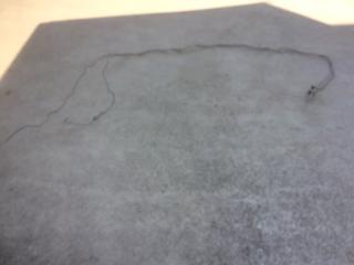 Запчасть тормозная трубка TOYOTA LAND CRUISER PRADO 2011