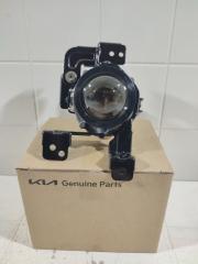 Птф новая передний правый KIA RIO 4 Дорестайлинг 2017-2020 новая Птф новая передний правый KIA RIO 4 Дорестайлинг 2017-2020