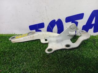 Запчасть петля капота левая TOYOTA IPSUM 2008