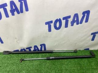 Фото запчасти амортизатор багажника NISSAN WINGROAD 2012 контрактная запчасть Запчасть амортизатор багажника NISSAN WINGROAD 2012