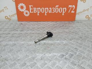 Катушка зажигания Volkswagen Passat