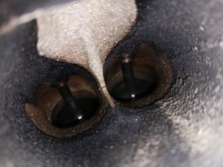 Двигатель Mondeo BD SEBA