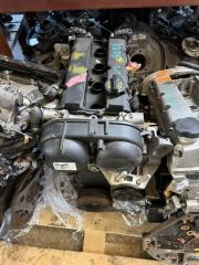Двигатель Ford Focus 3 IQDB контрактная