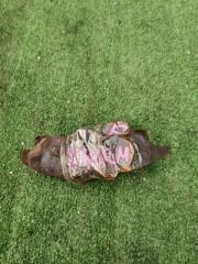 Тормозные колодки передние TOYOTA TOWN ACE