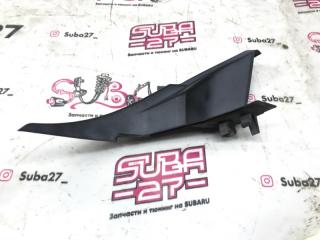 Уголок жабо Subaru Forester 15.10.2010