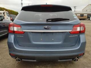Дверь багажника Subaru Levorg 2017