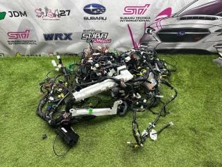 Коса автомобиля Subaru Legacy 2009 контрактная Коса автомобиля Subaru Legacy 2009