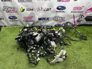 Коса автомобиля Subaru Legacy 2008 контрактная Коса автомобиля Subaru Legacy 2008