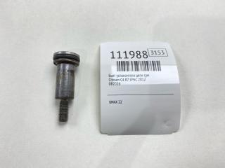 Запчасть болт успокоителя цепи грм Citroen C4 2012