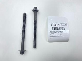 Фото запчасти болт головки блока цилиндров Renault Clio 2008 Б/У запчасть Запчасть болт головки блока цилиндров Renault Clio 2008