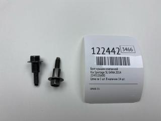 Запчасть болт крышки клапанной Kia Sportage 2014