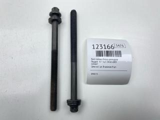 Запчасть болт головки блока цилиндров Peugeot 307 2003