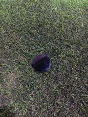 Фото запчасти заглушка бампера передняя Mazda BIANTE контрактная запчасть Запчасть заглушка бампера передняя Mazda BIANTE