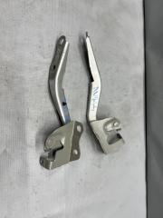 Петля капота Toyota AURIS NZE151 1 ракурс