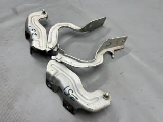 Петля капота Nissan MURANO PNZ51, TNZ51, TZ51, Z51 QR25 3 ракурс