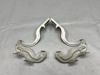 Петля капота Nissan MURANO PNZ51, TNZ51, TZ51, Z51 QR25 4 ракурс