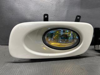 Туманка передняя Honda ODYSSEY RB1 K24A P1240 2 ракурс