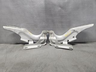 Петля капота Nissan TEANA J32 VQ25 65400-JN00A 1 ракурс