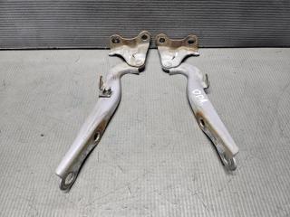 Петля капота Toyota OPA ZCT10 1ZZ 53410-63010 1 ракурс Петля капота Toyota OPA ZCT10 1ZZ 53410-63010 1 ракурс