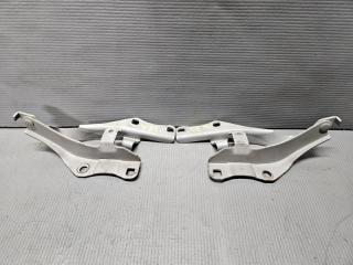 Петля капота Nissan SKYLINE V35 VQ25 65400AL500 1 ракурс