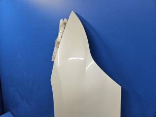 Крыло левое переднее Nissan TEANA J32 VQ25 F3101-JN2MA 3 ракурс