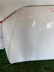 Капот Toyota ALTEZZA GXE10 Капот Toyota ALTEZZA GXE10