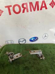 Петля двери передняя правая Mitsubishi Lancer 2004 Б/У Петля двери передняя правая Mitsubishi Lancer 2004