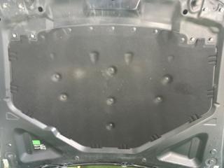 Обшивка капота BMW X5 01/2012