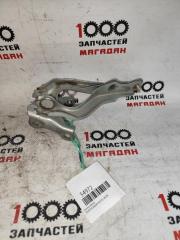 Запчасть петля капота передняя TOYOTA RAUM