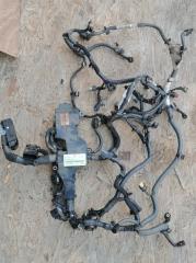 Проводка двигателя INFINITI Q50 2016