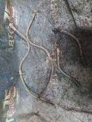 Шланг тормозной TOYOTA VISTA