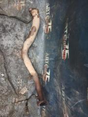 Глушитель LEXUS RX350 2007