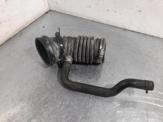 Гофра Nissan Serena 2003