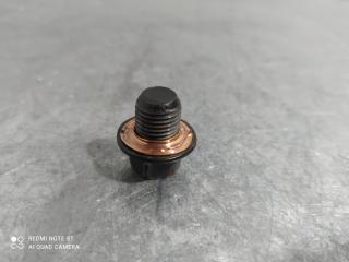 Пробка поддона сливная NISSAN X-TRAIL 2010