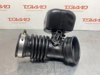 Гофра Nissan Primera 2004