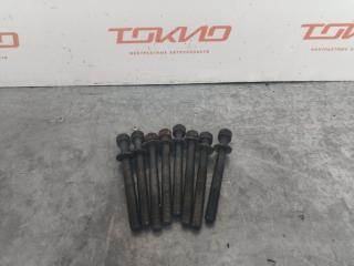 Болты ГБЦ NISSAN SERENA 2005