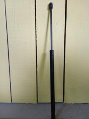 Амортизатор двери багажника Renault Grand Scenic 2 2008 Б/У Амортизатор двери багажника Renault Grand Scenic 2 2008