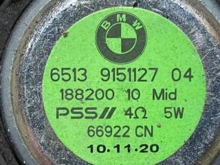 Динамик X5M 2021 F95