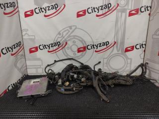 Проводка ДВС TOYOTA ALPHARD контрактная Проводка ДВС TOYOTA ALPHARD