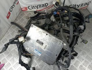 Проводка ДВС TOYOTA ISIS контрактная Проводка ДВС TOYOTA ISIS