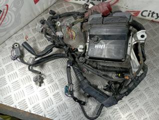 Проводка ДВС TOYOTA RACTIS контрактная Проводка ДВС TOYOTA RACTIS