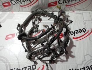 Проводка ДВС NISSAN DAYZ контрактная Проводка ДВС NISSAN DAYZ