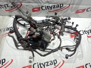 Проводка ДВС TOYOTA SPADE 2012 контрактная Проводка ДВС TOYOTA SPADE 2012